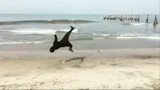 Team rikz kerala / flip training /parkour class