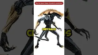 Why Does the Queen Choose Chrysalis Xenomorph For Protection? #shorts #Viral