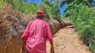 VIVENDO NA ROÇA COM SIMPLESCIDADE