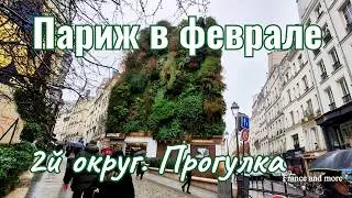 Париж. Индийский квартал I Атмосферная пешеходная улица Montorgueil
