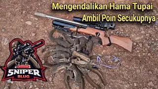 Berburu Tupai Part 23‼️ Mengndalikan Hama Tupai Lagi‼️ Poin Melimpah‼️