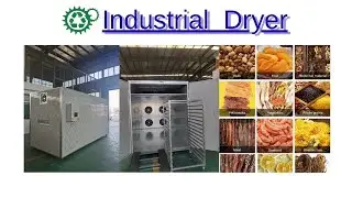 Food Drying Machine for Fruits, Vegetables & Seafood | Industrial Dryer Machine | Smart Food Dryer