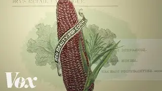 The race to save endangered foods