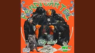 Fly shit