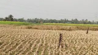 সকলকে নতুন ভোরের মিষ্টি শুভেছা জানাই 💕😘💕😘💕💕