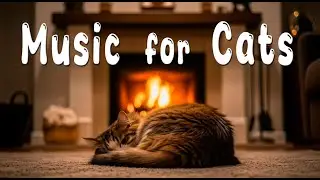 Extra Relax Music for Cats 😻 Chilluot Background Cat Music for Deep Sleep and Healing