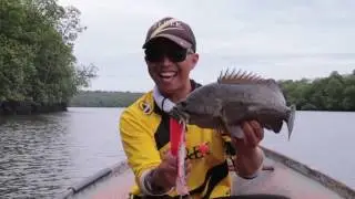 Northern Sabah Fishing Trip