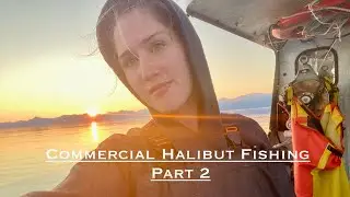 Commercial Halibut Fishing 2024 - Part 2