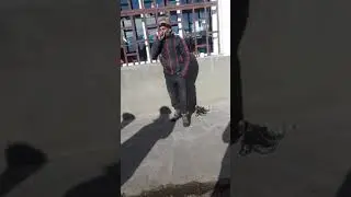 Lori gyux agarak