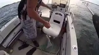 Duke of Fluke - Ship Mates II