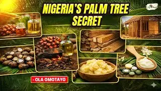 Palm Tree PROFITABLE business ideas in Nigeria | Watch This 😳