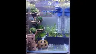 Marimo tree - 3D printed aquarium 2- shrimps - bottom / soil filter - strom z řasokoule /půdn&iacute; filtr
