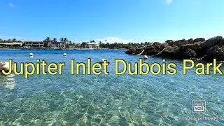 Best locations to snorkel in Florida!