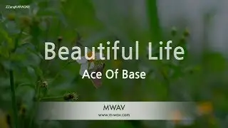 Ace Of Base - Beautiful Life (Melody) (Karaoke Version)