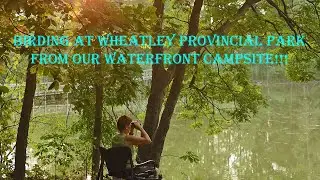 Exciting Birding from waterfront site at Wheatley Provincial Park + daytrip to Point Pelee - Part 2