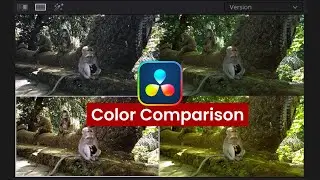 Davinci Resolve Color Comparison [Versions, Split Screen, Groups, Image Wipe]