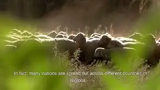 Country Vs Nation | Daily Confusions