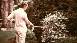 VINTAGE YARD MASTER BUG SPRAY (JOHNSON WAX) WITH JAMES NOBLE (GOVENOR ON TV SHOW 