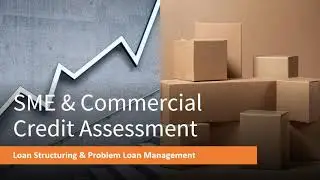 Loans Structuring & PLM: SME & Commercial Credit Assessment