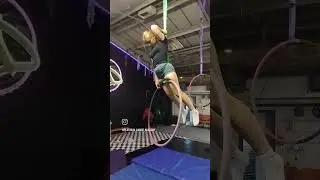 cobra roll downs from the top bar #cobra #lyra #aerialists #aerialist #aerialhoop #drop #training