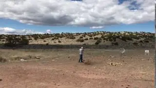 Dakota shotgun