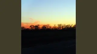 Hyperdrive Memory Bush