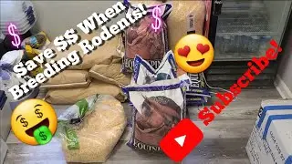 How I Save $$ Breeding Rats on Cleaning Day.