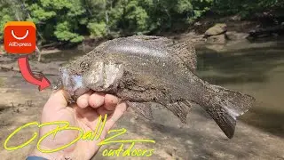 Little Creek Bass || Sydney