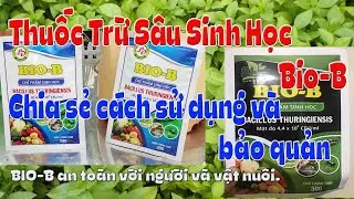 Thuốc trừ s&acirc;u sinh học Bio-B, chia sẻ c&aacute;ch sử dụng v&agrave; bảo quản.