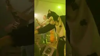 De kater de oare dei seach der wat oars &uacute;t.