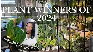 Plant Winners of 2024 & Major life changes + 2025 Goals