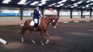 Oscar IX - 2015 British Dressage - P13WRQ - Holmside Hall
