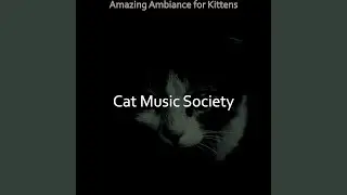 Astonishing Cats