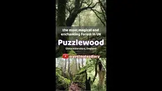 Inside the Magical Puzzlewood Forest