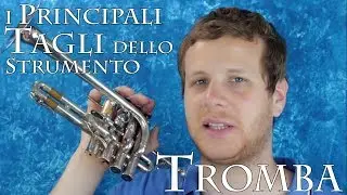 TROMBA - i principali tagli dello strumento