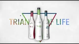 Sisel Triangle of Life Short
