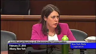 DEC's Basil Seggos on Romulus Waste Incinerator