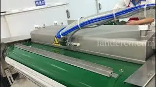 Belt-type continuous vacuum packaging machine  LDZ1100/2S for meat fish seafood cheese