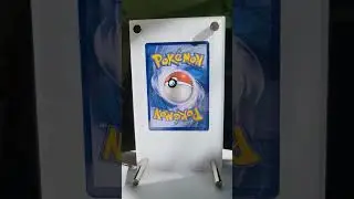 Kamizone - Reshiram & Charizard GX Sun and Moon Promo - Extended Art Pokemon Card Display Stand