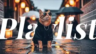☕ Korean Cafe & Chill Drive Playlist &ndash; Vol.6 | Lo-fi R&B & City Pop for Focus & Healing