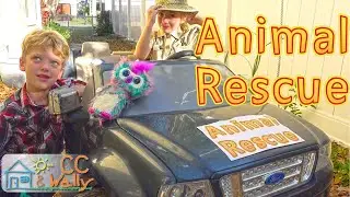 Jungle Scruff A Luv Animal Rescue by CC & Wally