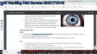 psy101 quiz 3 solution fall 2023 100% verified answers