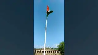 HAPPY INDEPENDENCE DAY (IN ADVANCE)