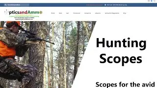 Optics and Ammo Review Non-Delivery Scam - Opticsandammo.com