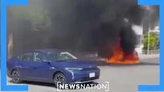 Chaos in Mexico: Stranded American feels thrown 'into a terrible movie' | NewsNation Prime