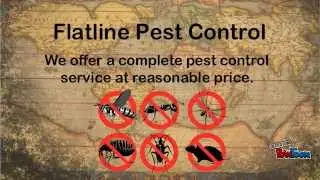 Flatline Pest Control Service in Australia