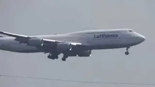 Lufthansa 747-8i Landing Frankfurt D-ABYL