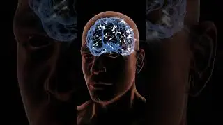 Brainwaves Explained in 60 Seconds! What's Happening in Your Head? #brainfacts #brainlearning
