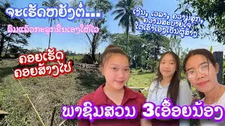 พาดูสวนของสัน ที่เวียงจันทน์ สวน 3พีน้อง / ພາເບິ່ງສວນຂອງຂ້ອຍ ໃນວຽງຈັນ ສວນ 3ເອຶ້ອຍນ້ອງ ສະຫວັນເທີງດີນ