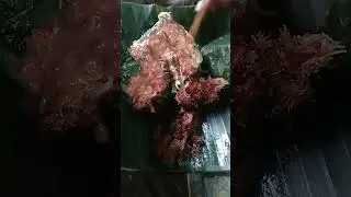 Sarapaaannnn...#Pecel daun jati...